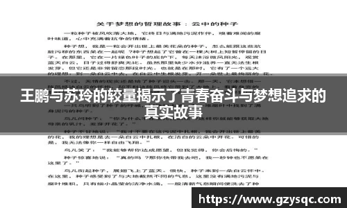 王鹏与苏玲的较量揭示了青春奋斗与梦想追求的真实故事